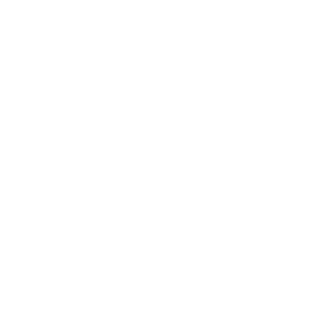 number of facial icon