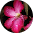 unnamed 10